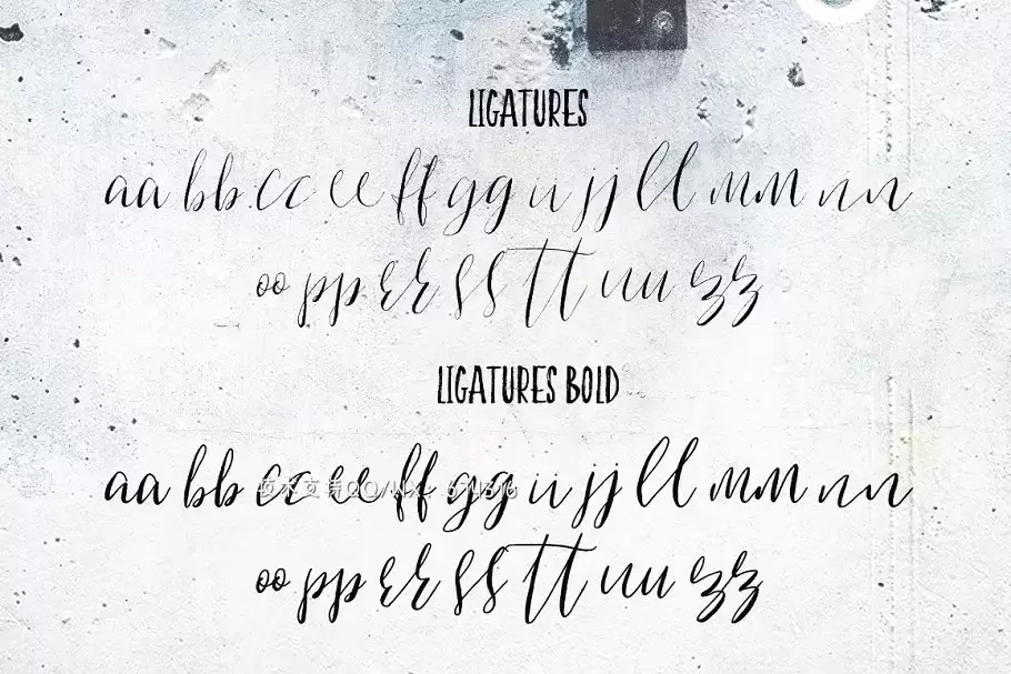 手绘脚本字体 Indulgence Script Font Duo插图15