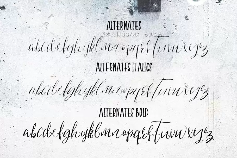 手绘脚本字体 Indulgence Script Font Duo插图13