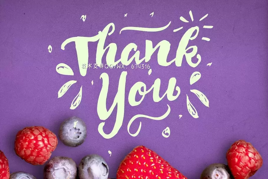 手写设计字体 Delight Font Pack & Extra插图4