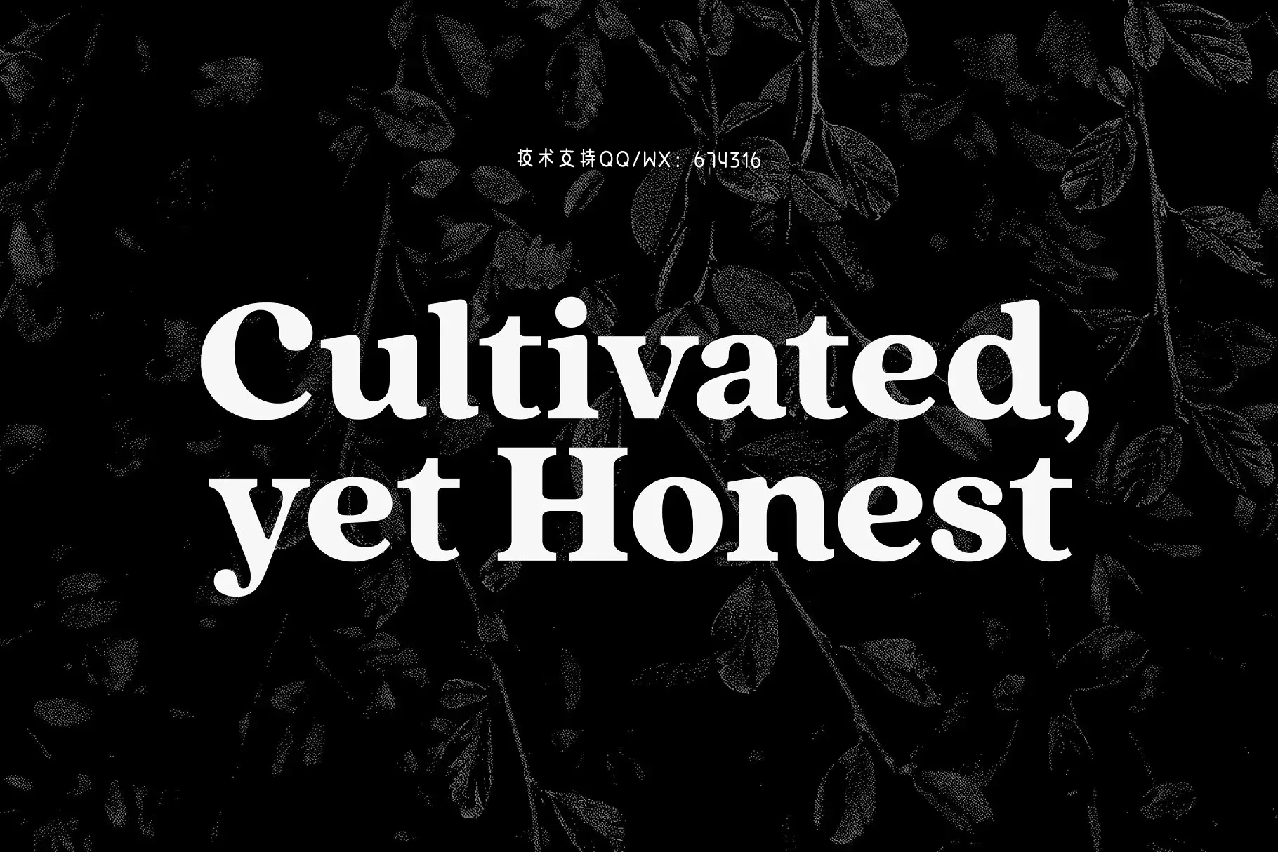 衬线设计字体 Quincy CF font family插图1