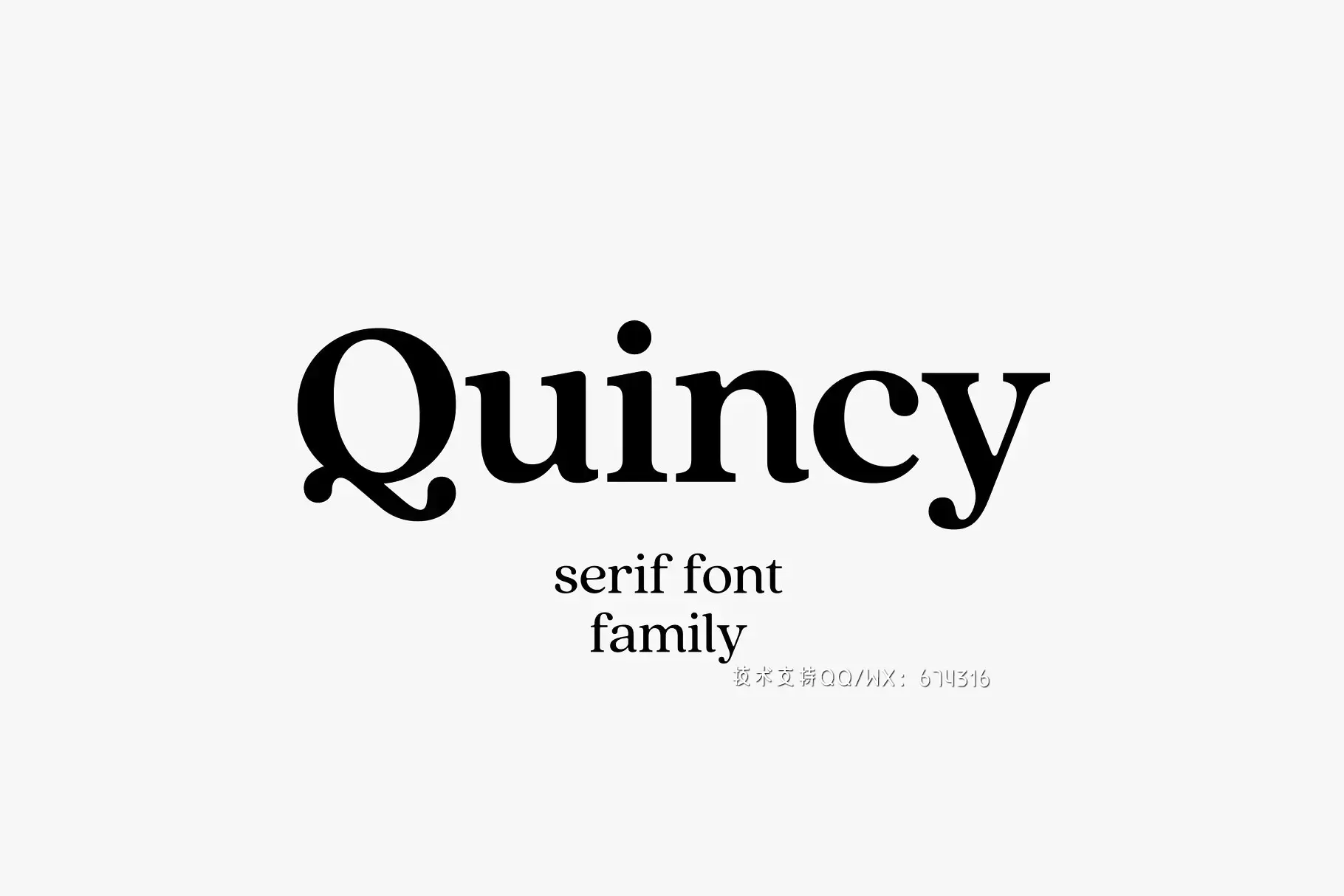 衬线设计字体 Quincy CF font family插图