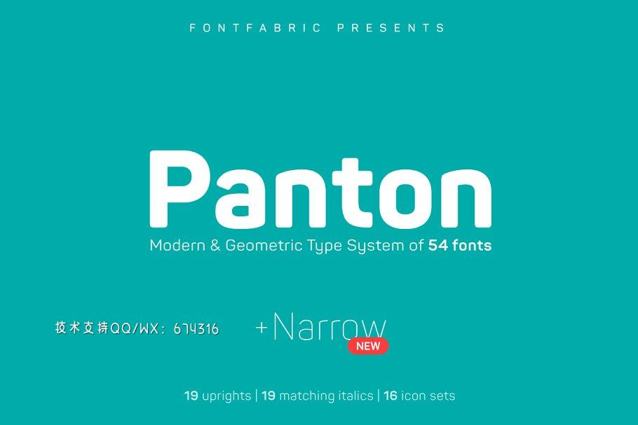 无衬线设计字体 Panton font插图1