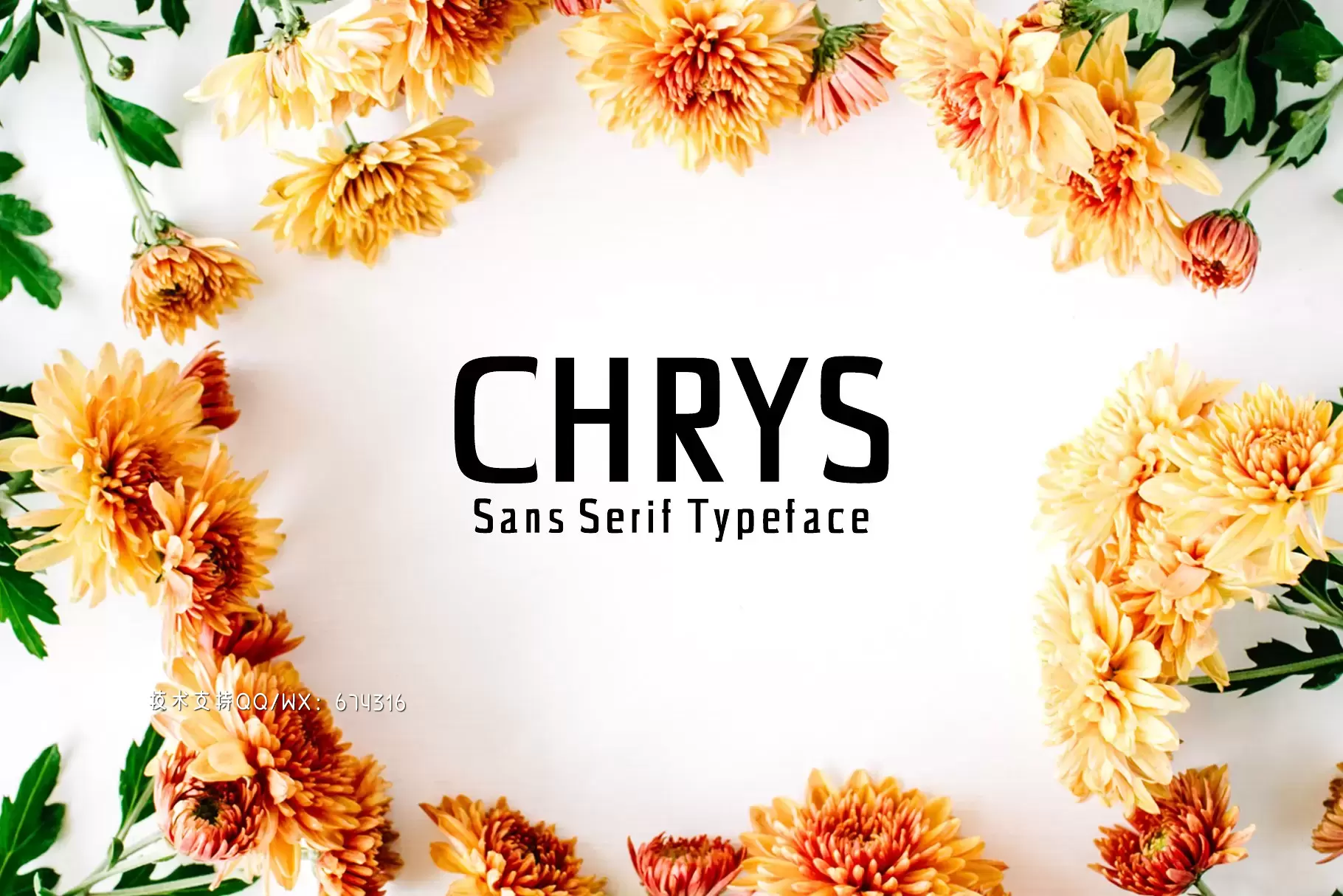 经典时尚设计字体 Chrys Sans Serif 4 Font Family Pack免费下载