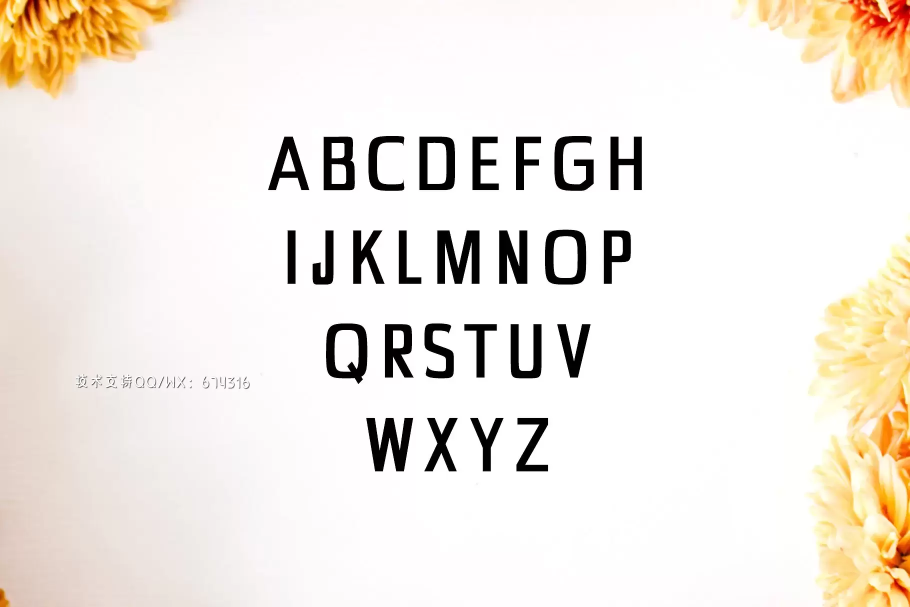 经典时尚设计字体 Chrys Sans Serif 4 Font Family Pack插图1