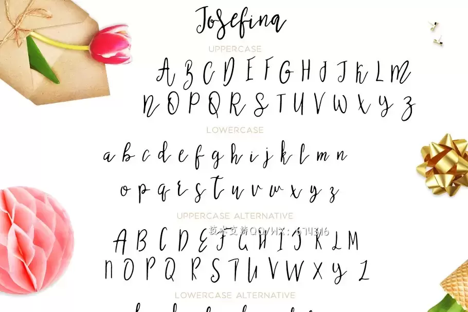 手写草书脚本字体 Josefina Script & Bonus Elements插图5