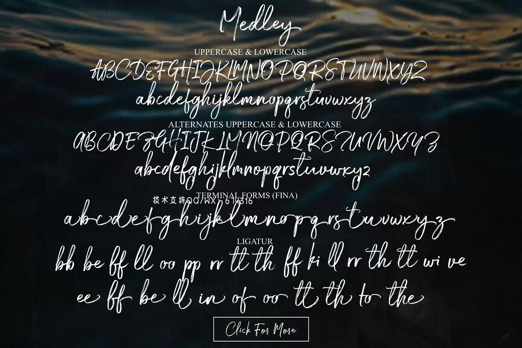 手写钢笔字体 Medley Script插图3