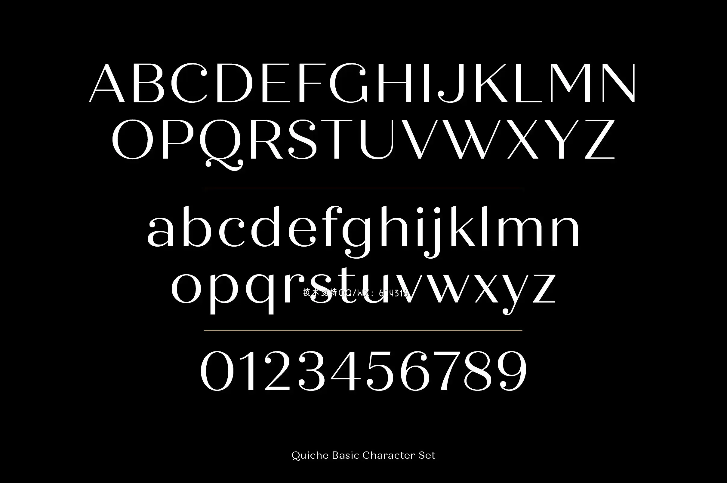 时尚衬线字体 Quiche Font Family插图21