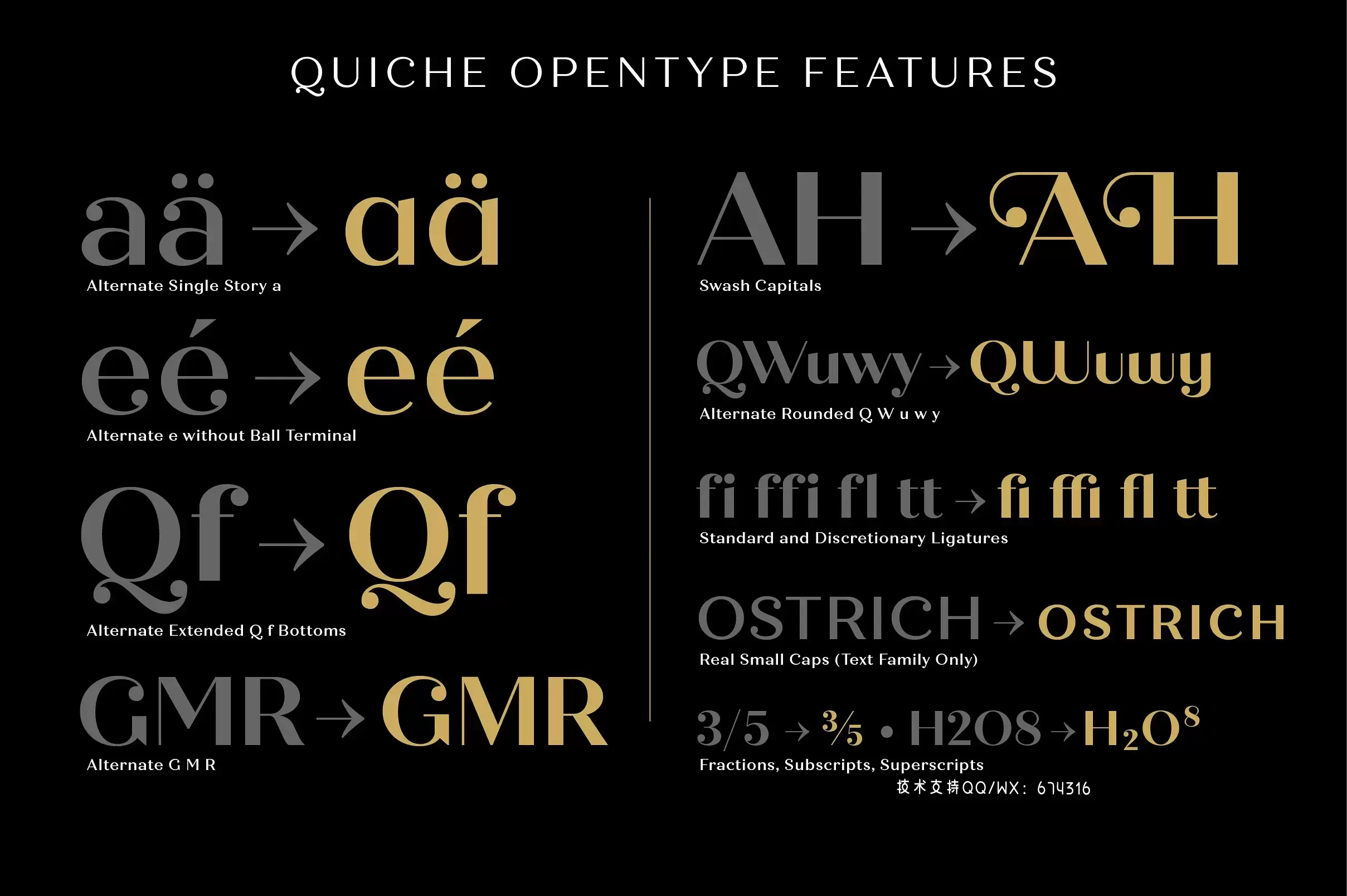 时尚衬线字体 Quiche Font Family插图14