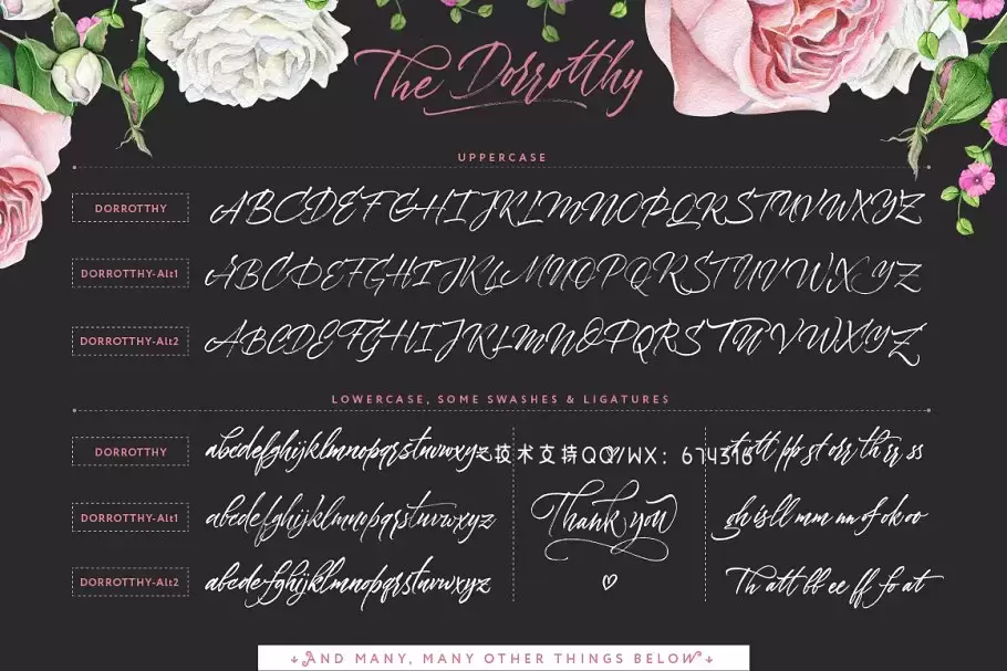 时尚手写设计字体 Dorrotthy script: 3 fonts & swashes插图10