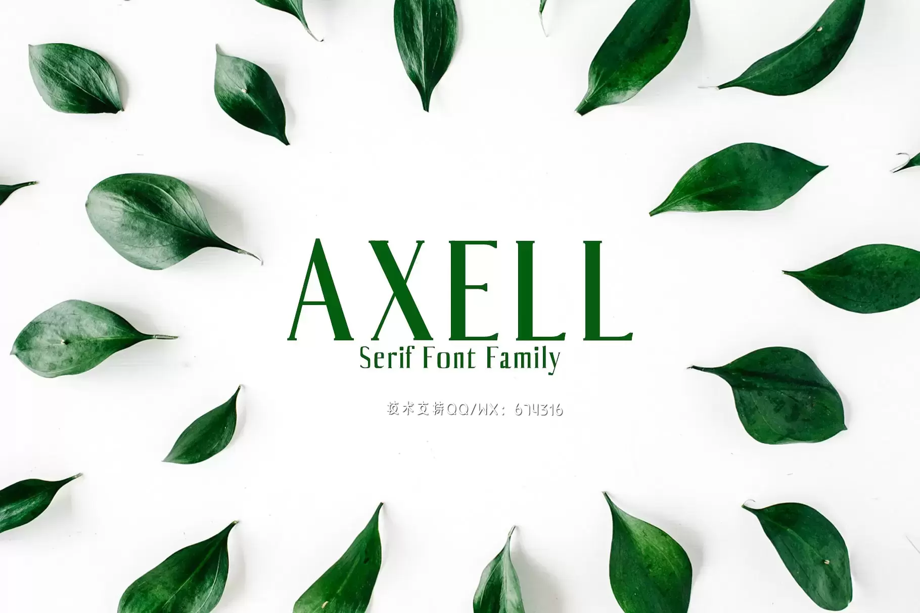 时尚设计字体 Axell Serif 4 Font Family Pack免费下载