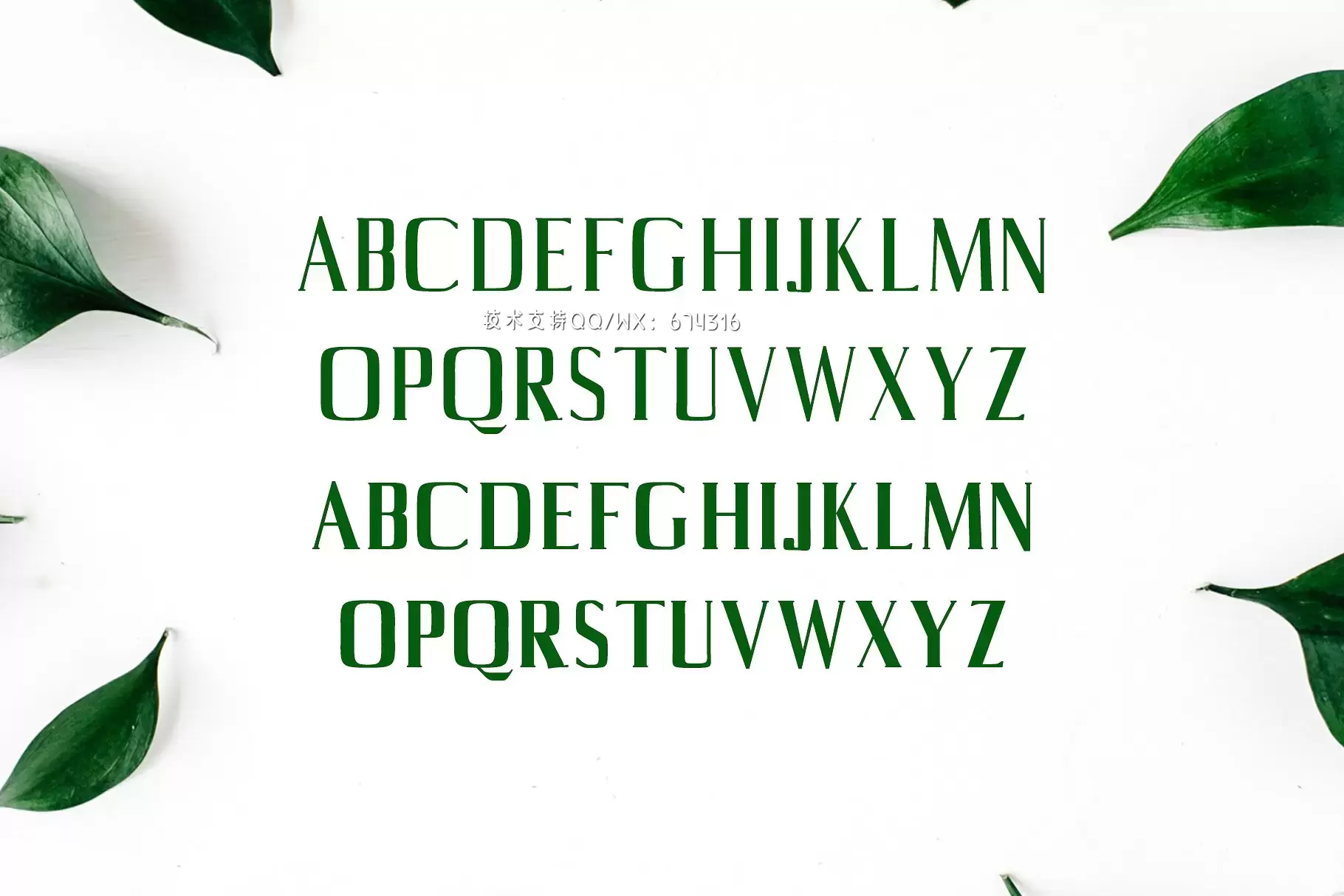 时尚设计字体 Axell Serif 4 Font Family Pack插图1