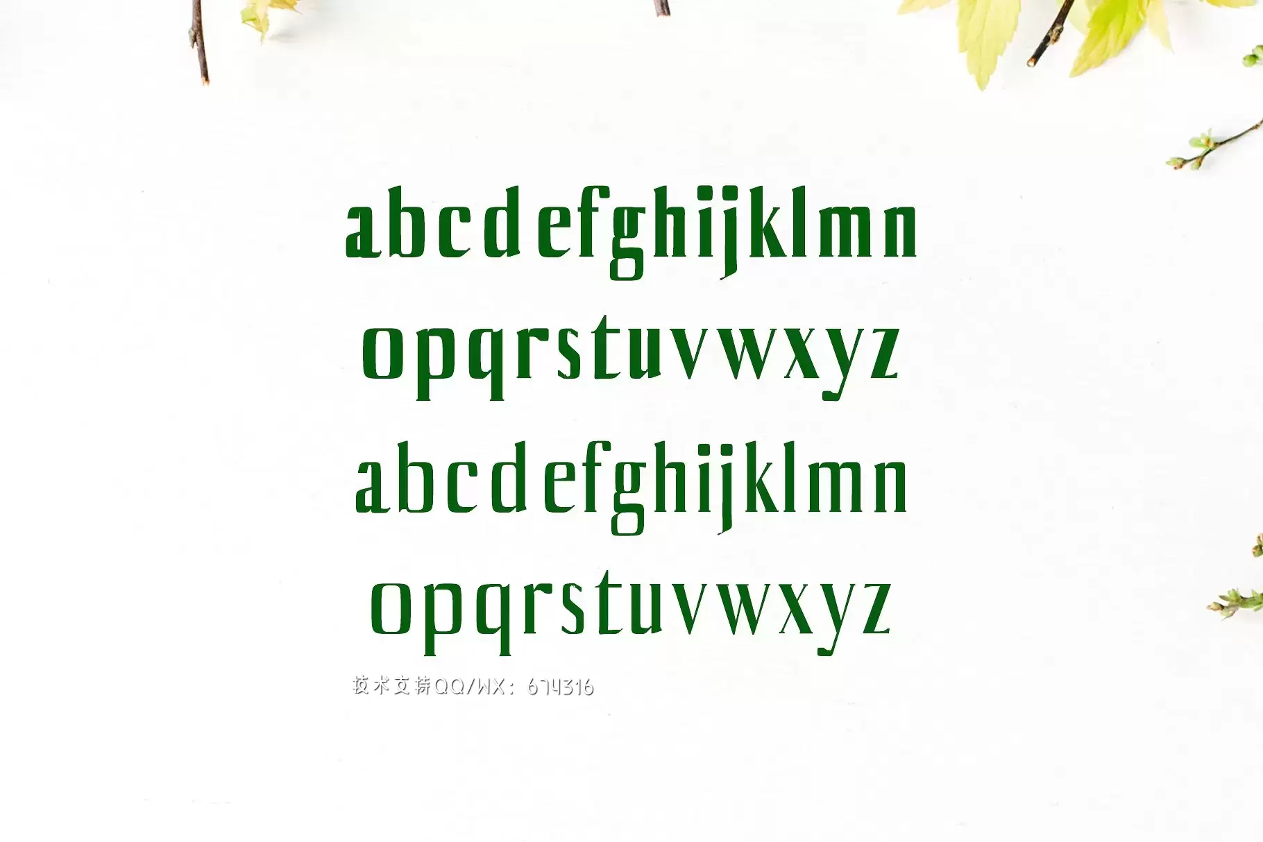 时尚设计字体 Axell Serif 4 Font Family Pack插图2