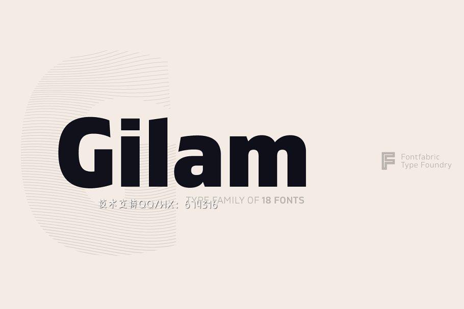 无衬线设计字体 Gilam插图1