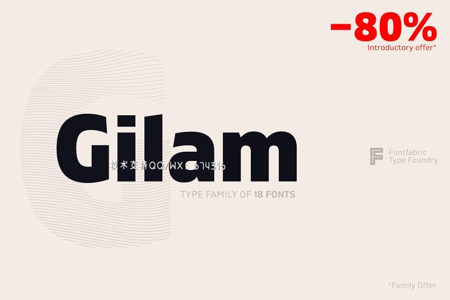 无衬线设计字体 Gilam插图