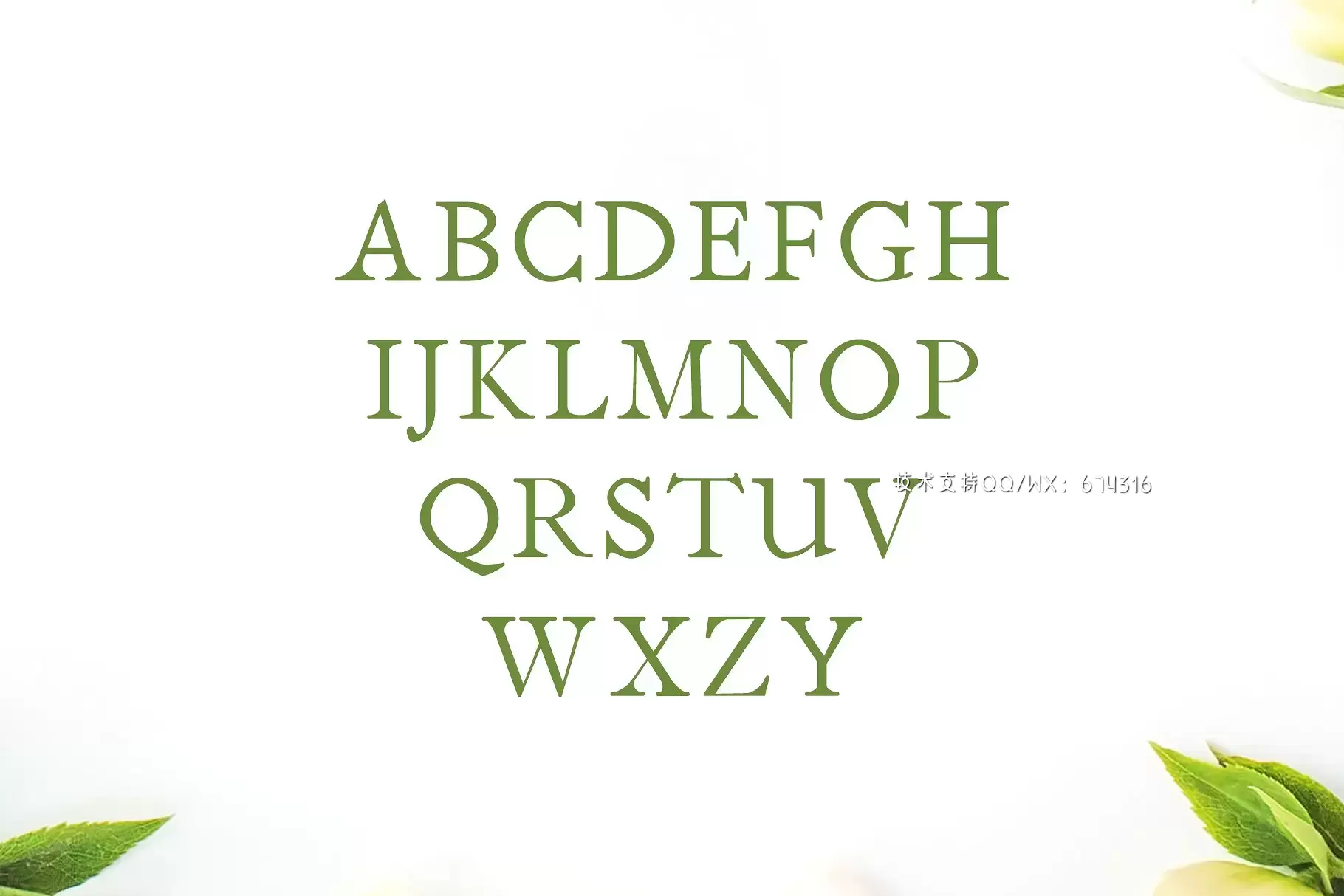 时尚衬线字体 Jerricca Serif 4 Font Family Pack插图1