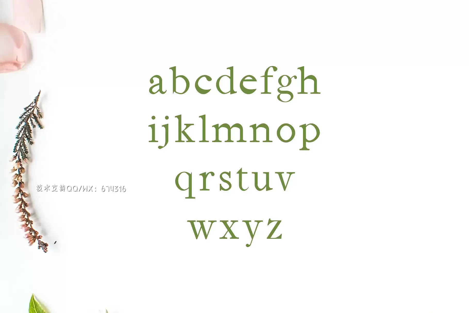 时尚衬线字体 Jerricca Serif 4 Font Family Pack插图2