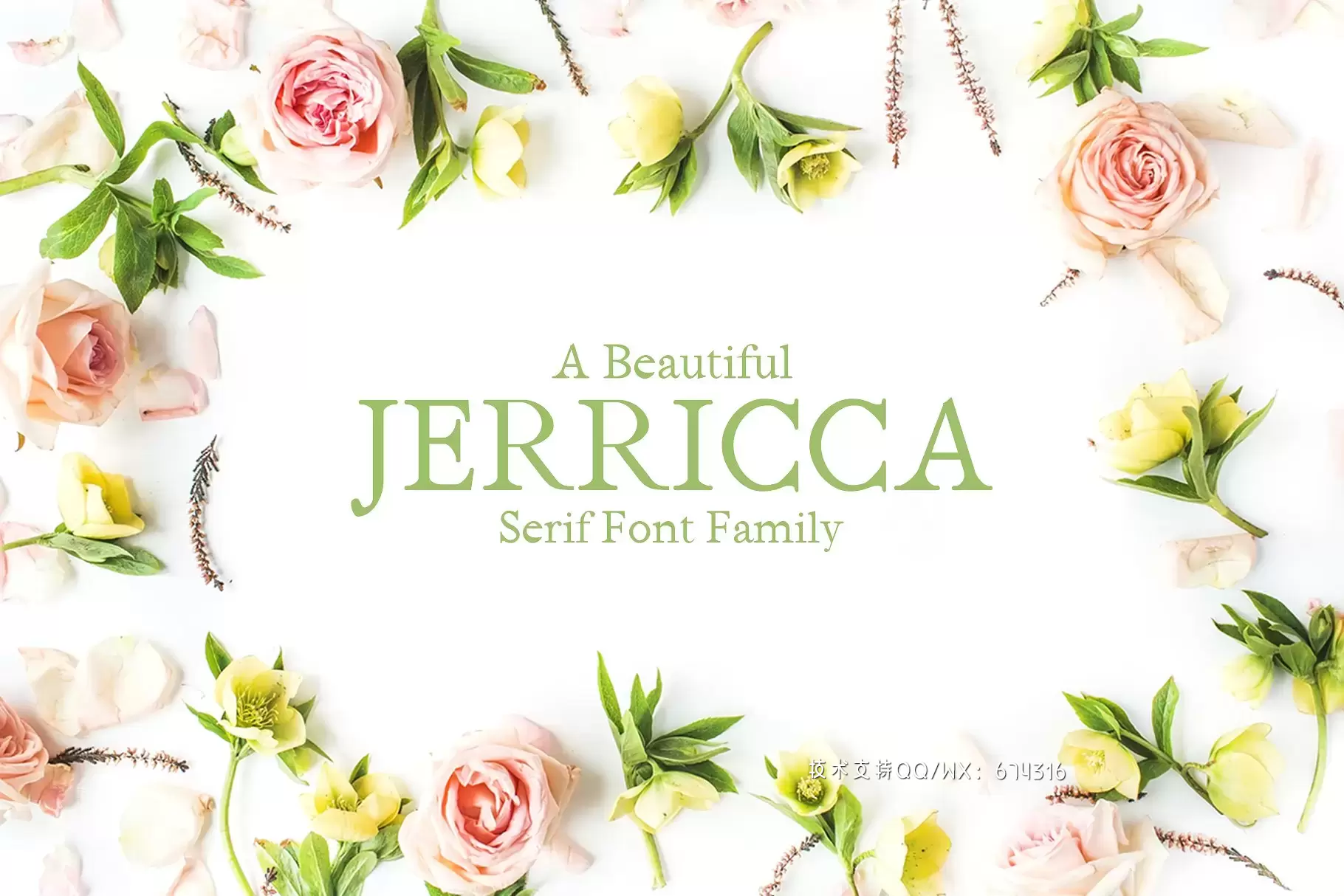 时尚衬线字体 Jerricca Serif 4 Font Family Pack免费下载