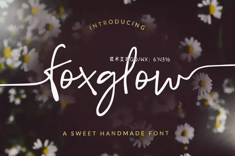 手写草书字体 Foxglow Font插图