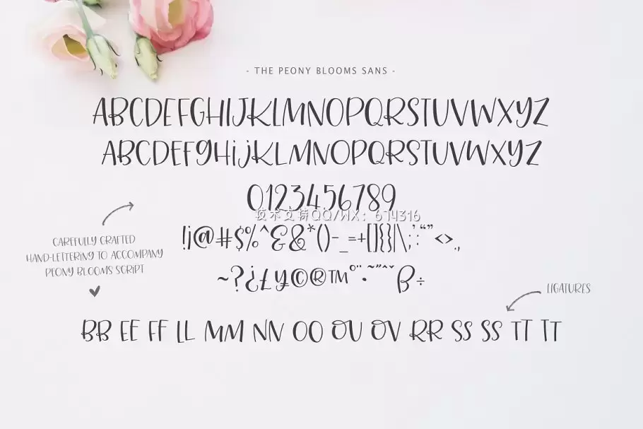 手写个性字体 Peony Blooms Font Duo插图13