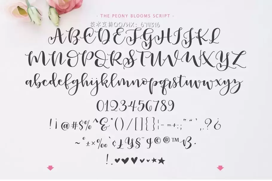 手写个性字体 Peony Blooms Font Duo插图12