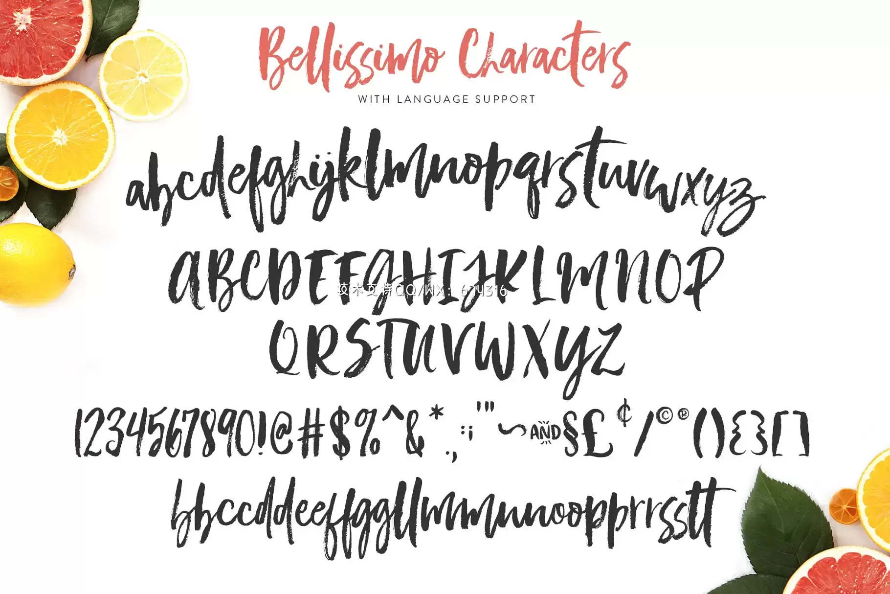 手绘粗犷字体 Bellissimo Typeface + Minimal Logos插图9