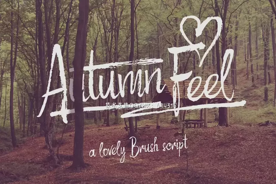 手绘书法字体 Rough script "Autumn Feel"插图