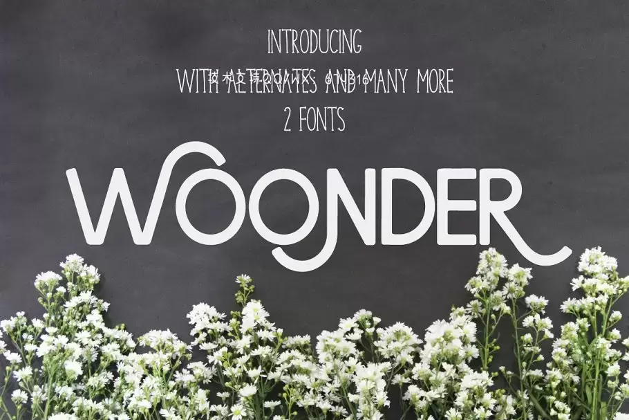 个性设计字体 Woonder [2 Font] Pro免费下载