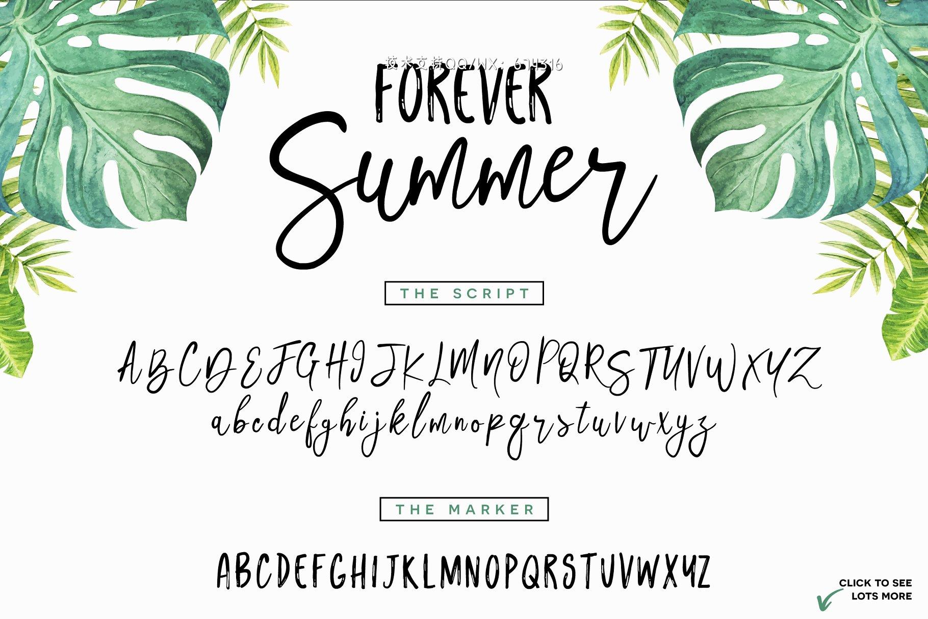 手写趣味字体 Forever Summer + Extras插图7