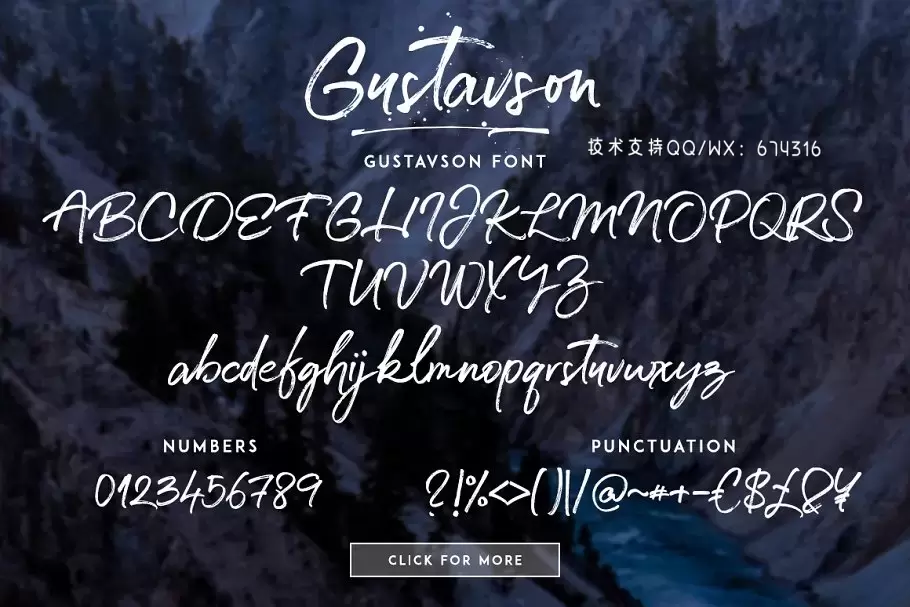 手写书法字体 Gustavson – Script Font插图12