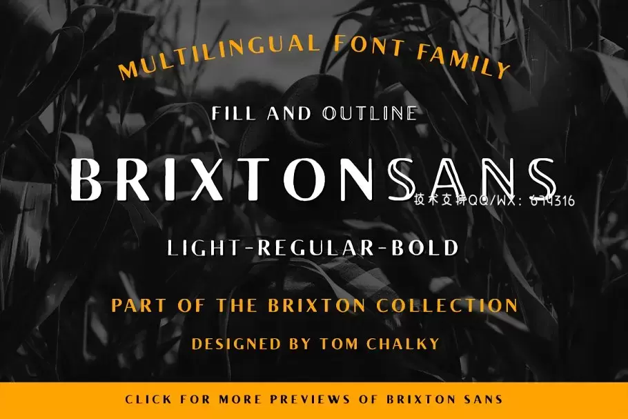 高端奢华衬线字体 The Brixton Collection (16 Fonts)插图1