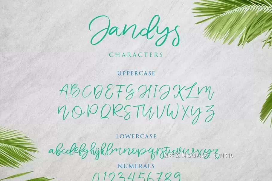 手绘字体下载 Jandys Typeface插图5