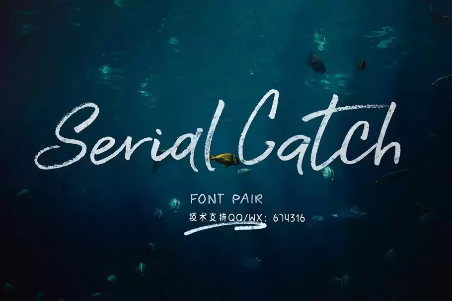 手写设计字体 Serial Catch Font插图