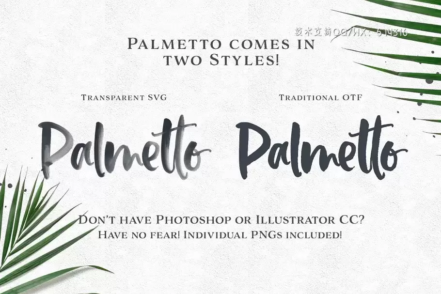 英文书法设计字体 Palmetto SVG Font插图10