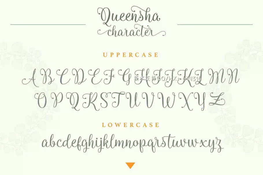 手写字体设计 Queensha Typeface插图7