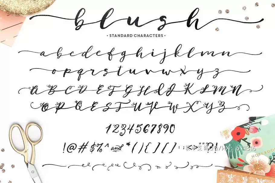 时尚手写字体 Blush Typeface插图3