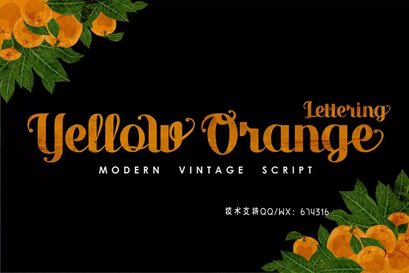 字体 | 橙色复古衬线连笔现代英文脚本文字插图