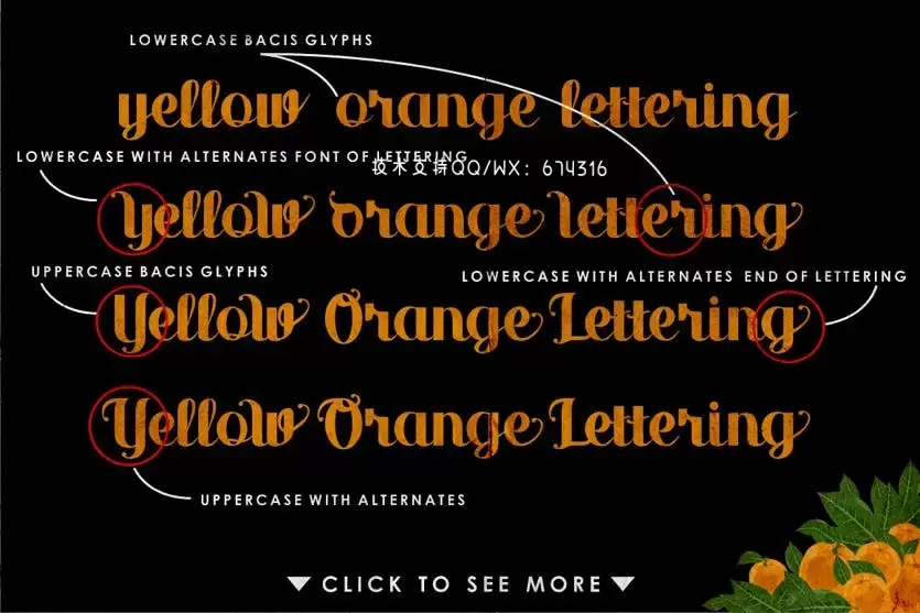 字体 | 橙色复古衬线连笔现代英文脚本文字插图1