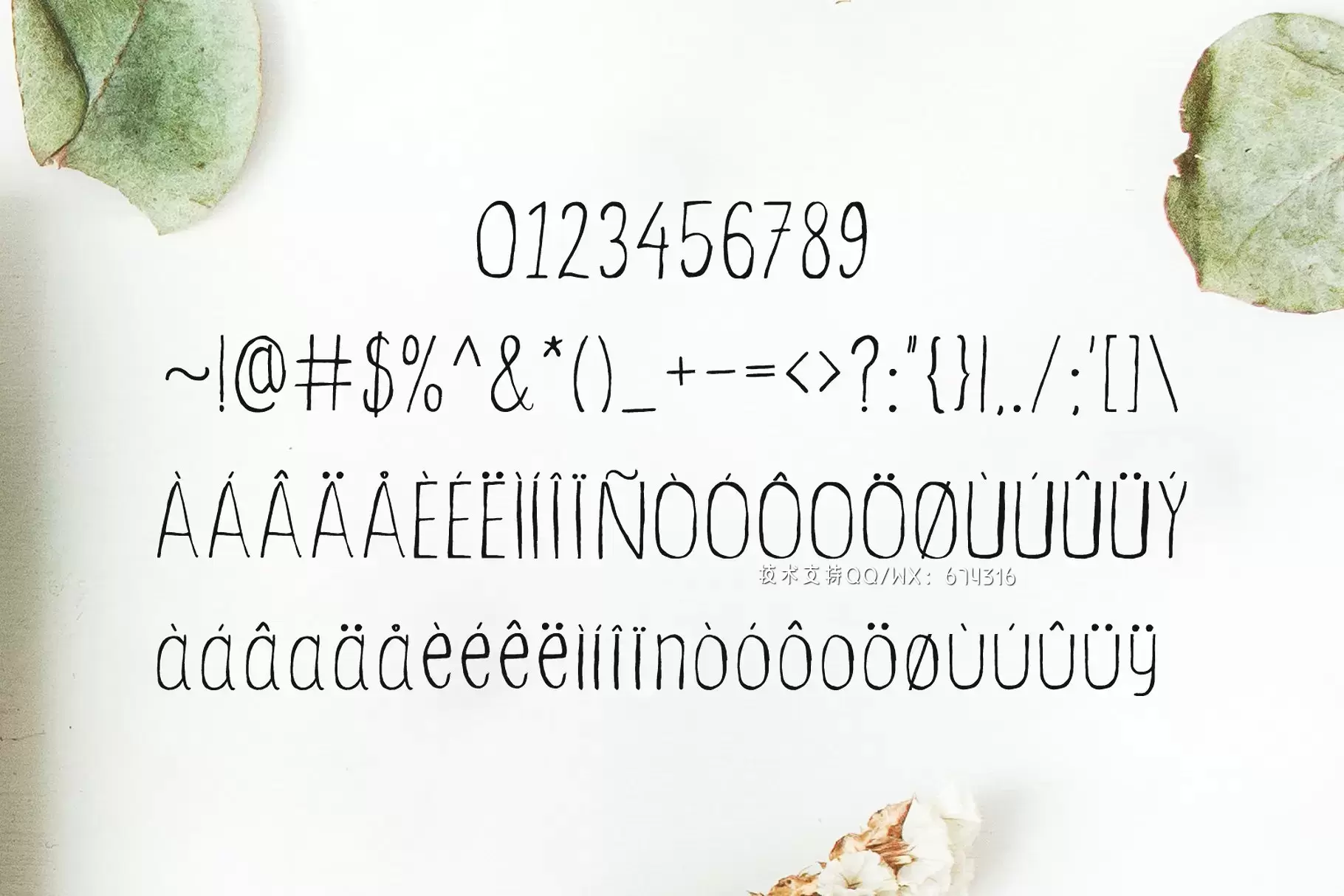 手写花卉字体 Ceica Handwritten Duo Font + Bonus插图4