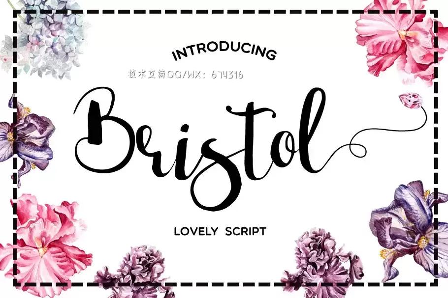 漂亮的手写字体 Bristol Script Font免费下载