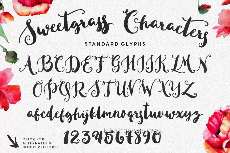 粗体手写字体下载 Sweetgrass Typeface插图3