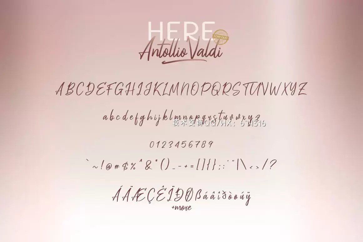 时尚高端优雅多用途的高品质Antollio VALDI英文字体插图6