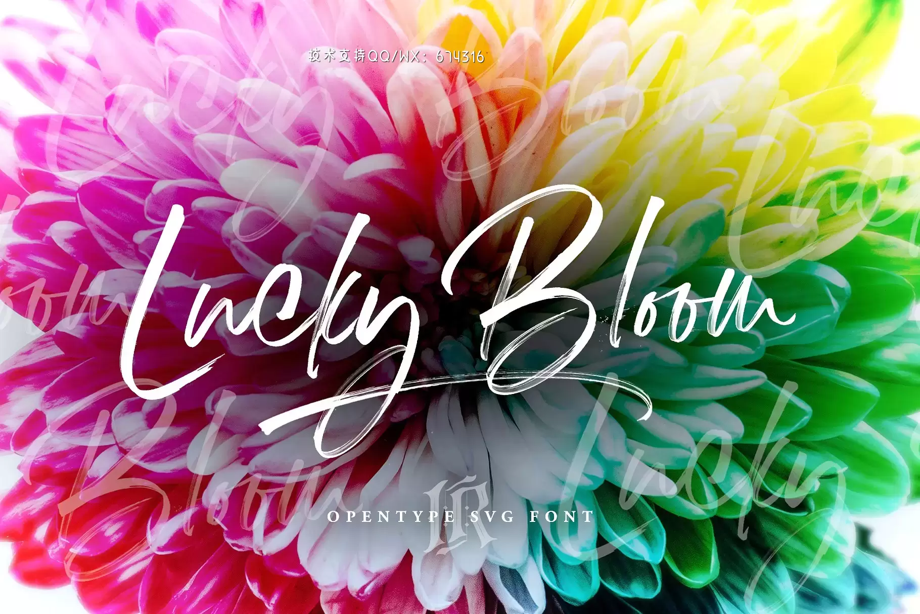 手写草书字体 Lucky Bloom SVG Font免费下载