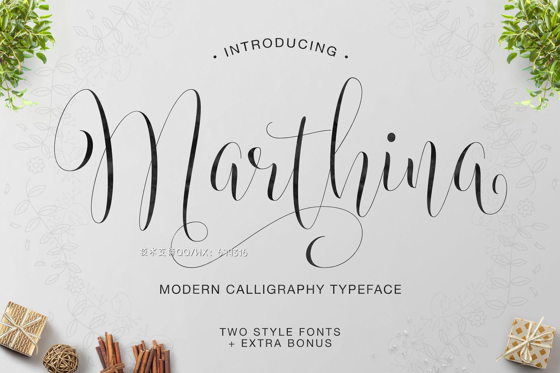 好看的手写字体 Marthina Script – Two Style免费下载