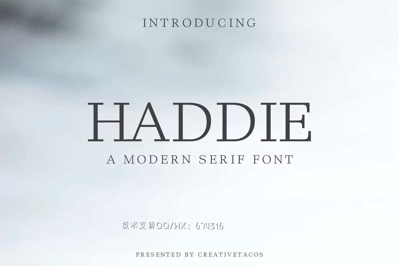 时尚简约多用途的Haddie Modern Serif英文字体系列免费下载
