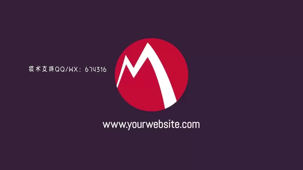 精美设计的动态动画LOGO标志展示AE模板视频下载(含音频)