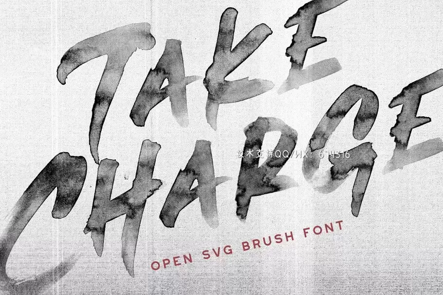 水墨手写字体 Take Charge – OpenType SVG Font插图