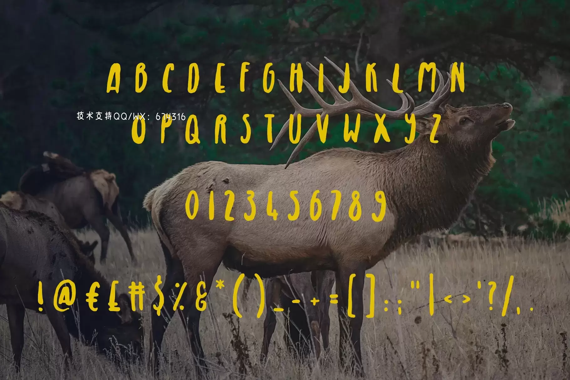 皇家麋鹿手写字体 Royal Elk Font插图1