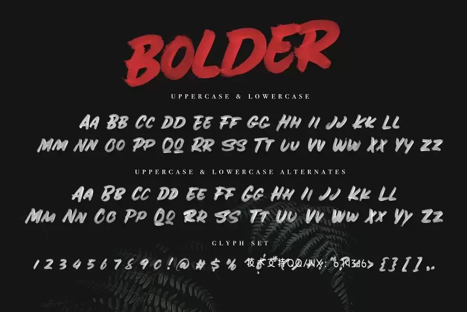 粗体笔刷字体 BOLDER – Smallcaps SVG Brush Font插图1
