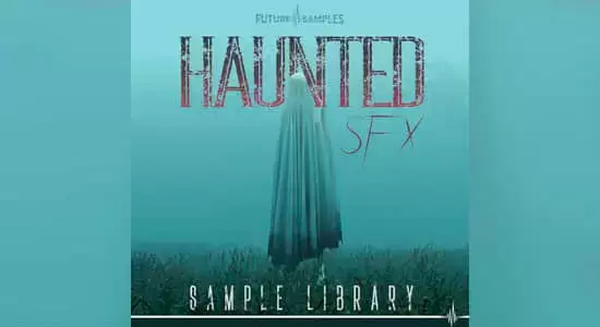 神秘恐怖幽灵氛围无损音效 Haunted SFX插图