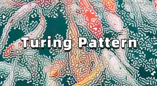中文汉化AE插件-创意抽象图灵纹理效果生成工具 Turing Pattern v1.0 Win插图